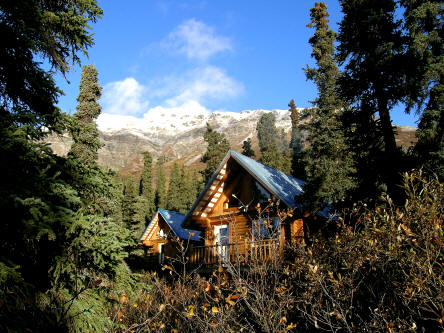 Windsong Wilderness Retreat Cabin Reservations Alaska